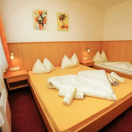 Apartmán In - Salzburger Land 49982 *