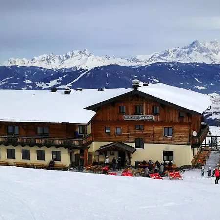 In - Salzburger Land 49982 Apartment